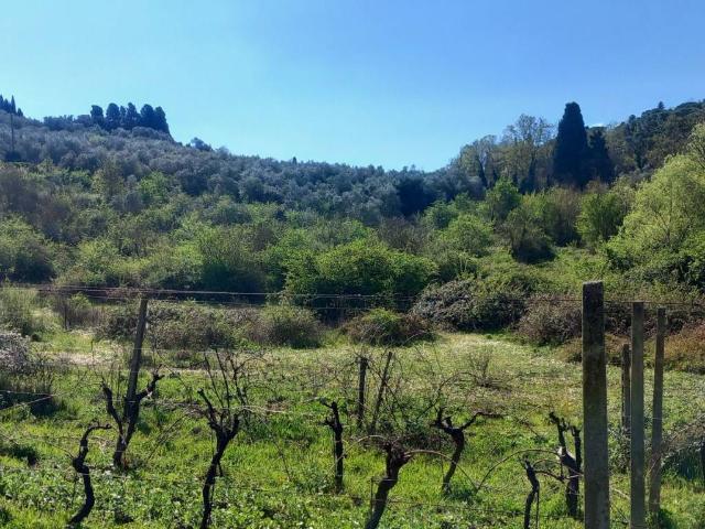 Terreno in vendita a Lastra A Signa, Toscana