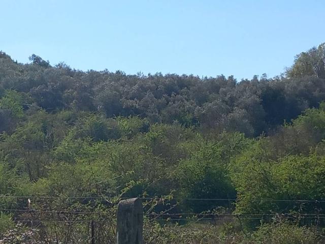 Terreno in vendita a Lastra A Signa, Toscana