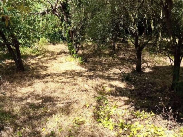 Terreno in vendita a Stagno, Lastra A Signa