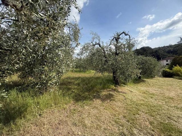 Terreno in vendita a Lastra A Signa, Toscana