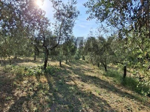 Terreno in vendita a Laterina Pergine Valdarno, Pergine Valdarno