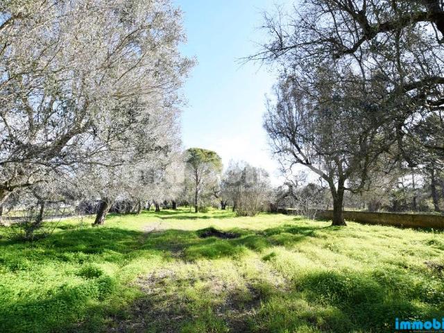 Terreno in vendita a Puglia, Brindisi