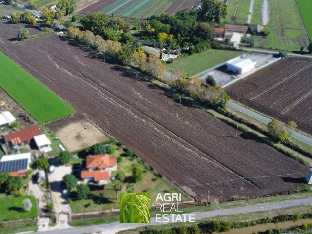 Terreno in vendita a Uccellara, Latina
