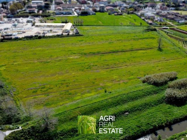 Terreno in vendita a Latina, Lazio
