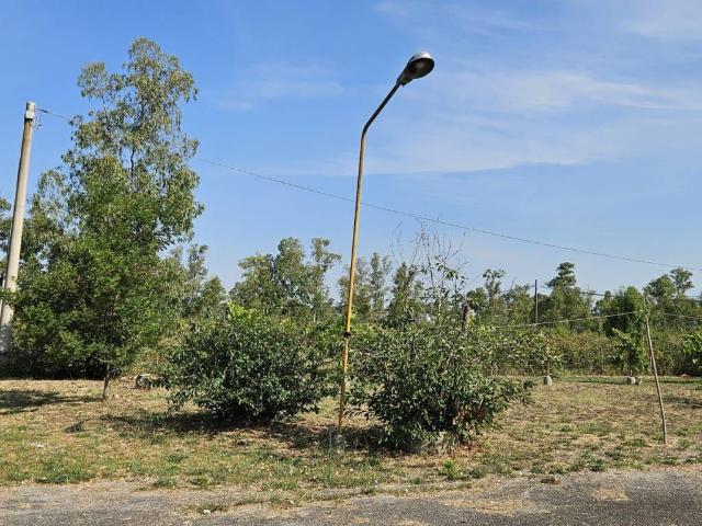 Terreno in vendita a Borgo San Michele, Latina