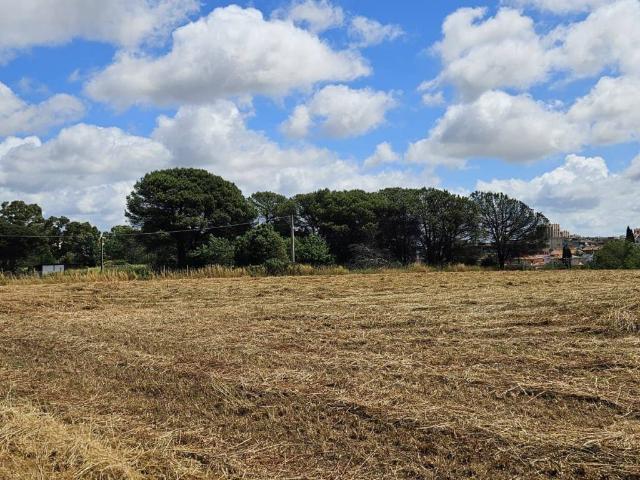 Terreno in vendita a Nascosa, Latina