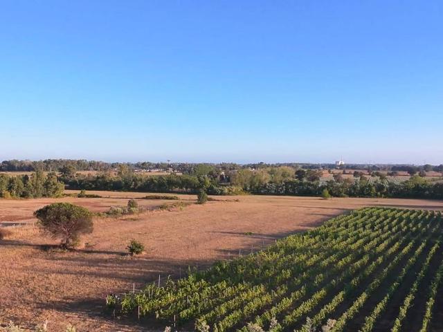 Terreno in vendita a Latina, Lazio