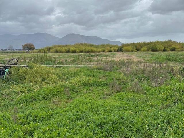 Terreno in vendita a Latina, Lazio