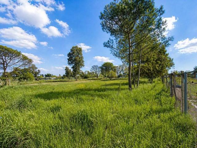 Terreno in vendita a Nuova Latina, Latina
