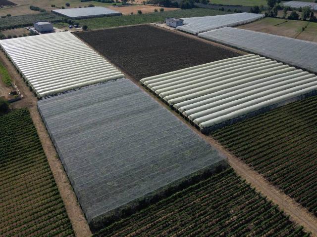 Terreno in vendita a Latina, Lazio