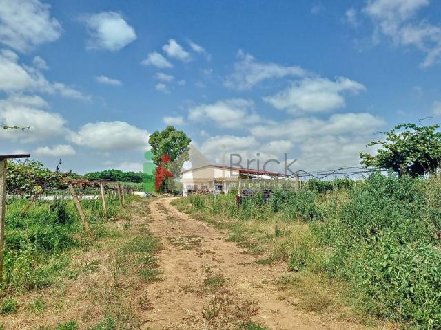 Terreno in vendita a Latina, Lazio