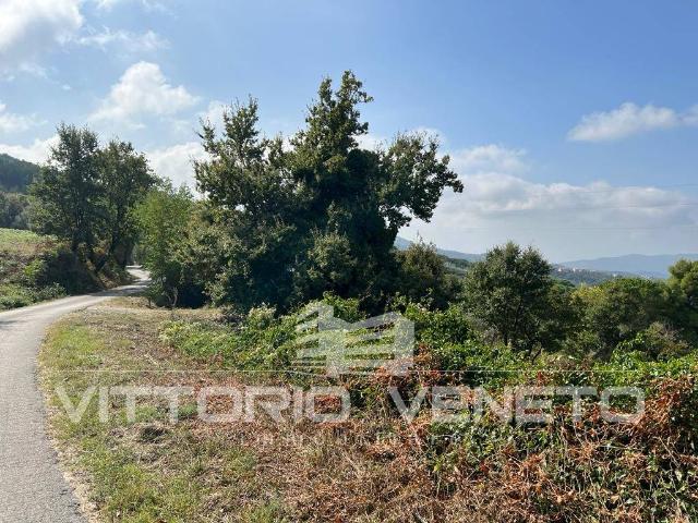 Terreno in vendita a Laureana Cilento, Campania