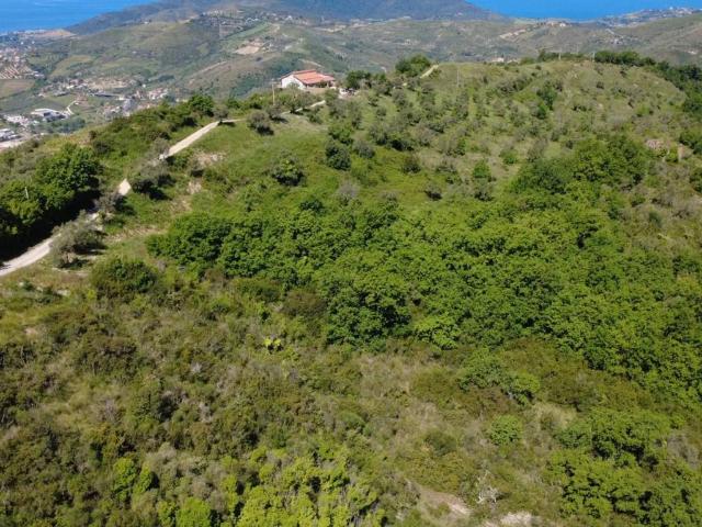Terreno in vendita a Laureana Cilento, Campania