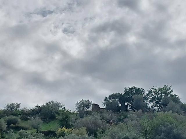 Terreno in vendita a Torchiara, Campania