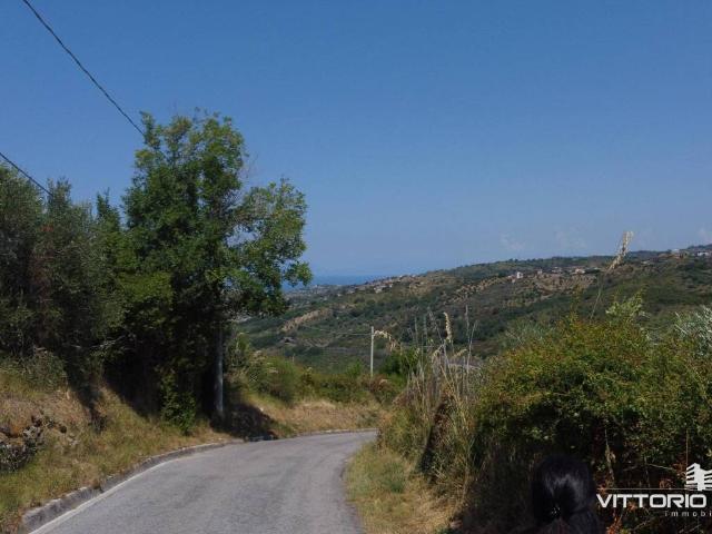 Terreno in vendita a Laureana Cilento, Campania