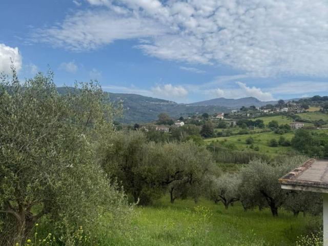 Terreno in vendita a Laureana Cilento, Campania
