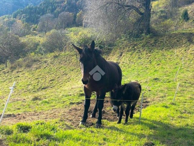 Terreno in vendita a Comunità montana della Valle Sabbia, Lavenone