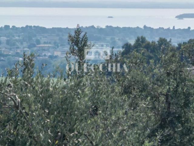 Terreno in vendita a Lazise, Veneto