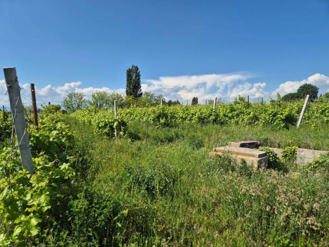 Terreno in vendita a Lazise, Veneto