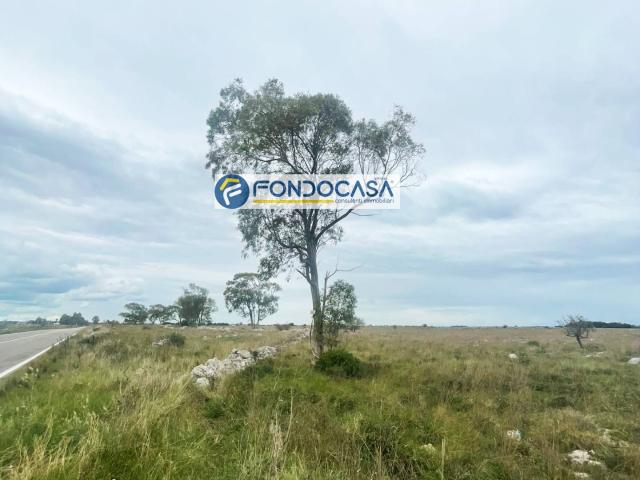 Terreno in vendita a Puglia, Brindisi
