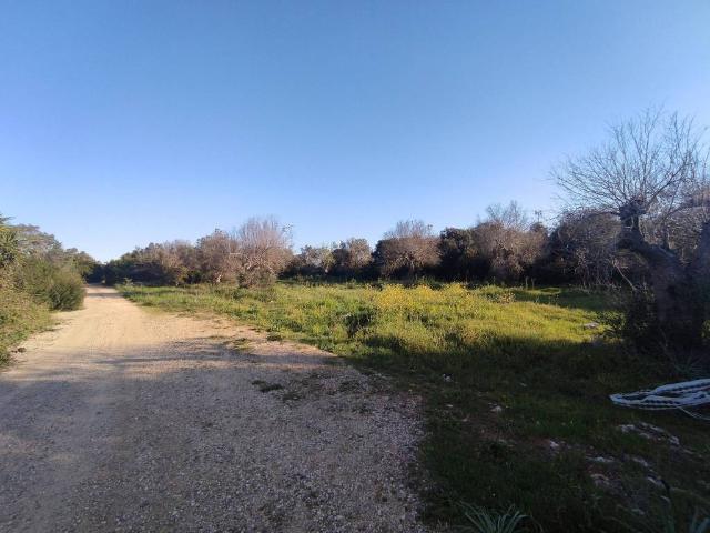 Terreno in vendita a Puglia, Lecce