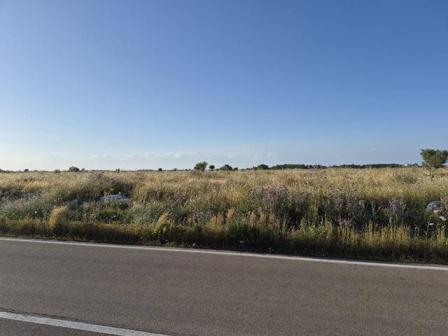 Terreno in vendita a Puglia, Lecce