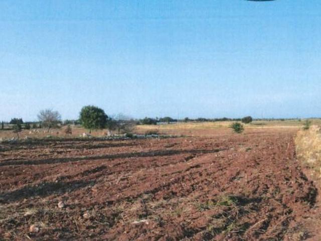 Terreno in vendita a Puglia, Lecce
