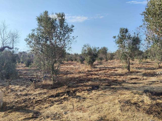 Terreno in vendita a Puglia, Lecce
