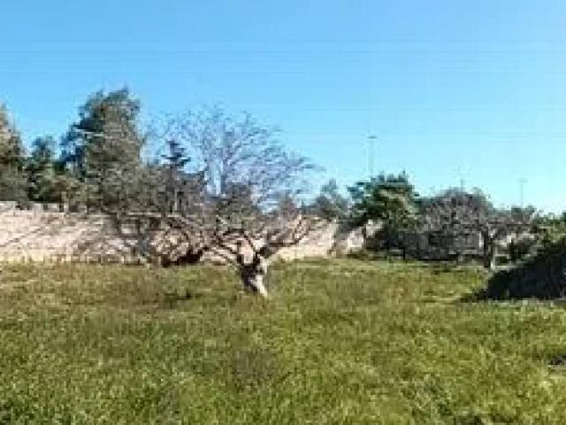 Terreno in vendita a Puglia, Lecce