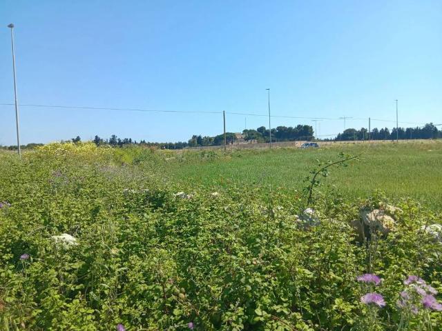 Terreno in vendita a Puglia, Lecce