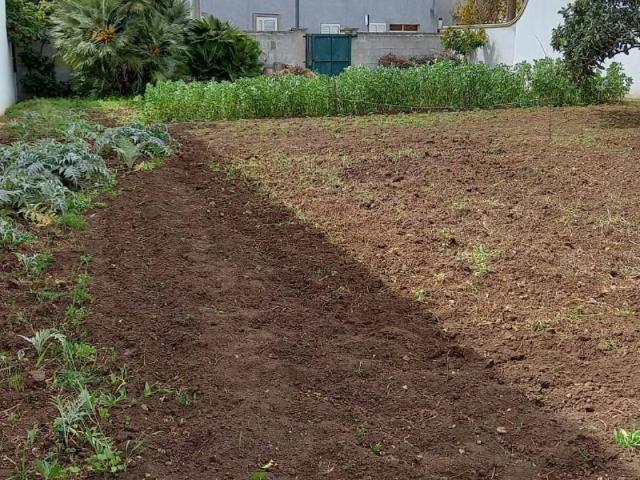 Terreno in vendita a Puglia, Lecce
