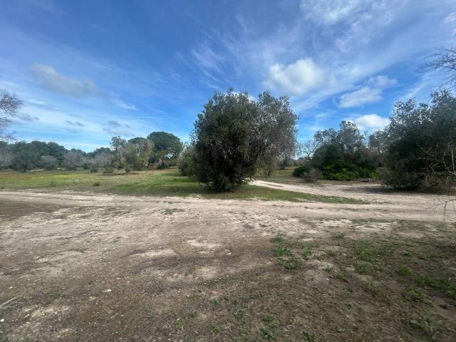 Terreno in vendita a Villaggio del Sole, Puglia