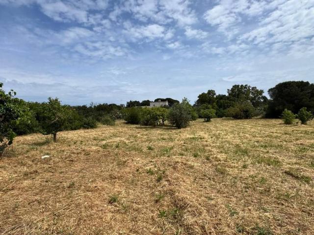Terreno in vendita a Puglia, Lecce