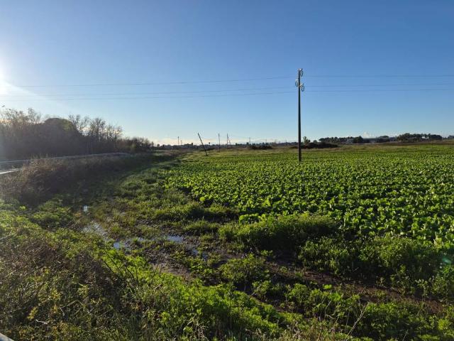 Terreno in vendita a Puglia, Lecce