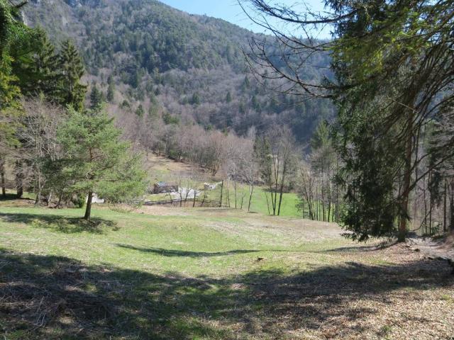 Terreno in vendita a Comunità Alto Garda e Ledro, Molina Di Ledro