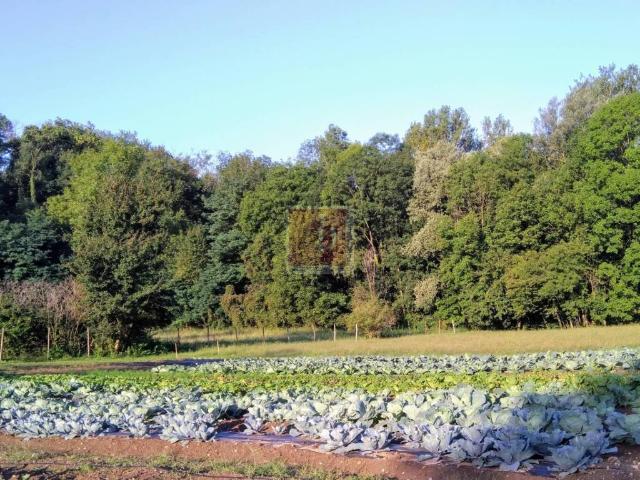 Terreno in vendita a Unione dei comuni del Medio Verbano, Leggiuno