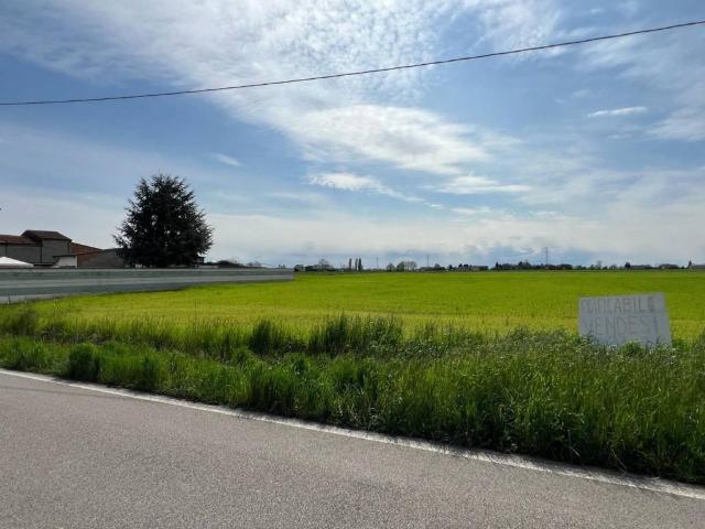 Terreno in vendita a Legnago, Veneto