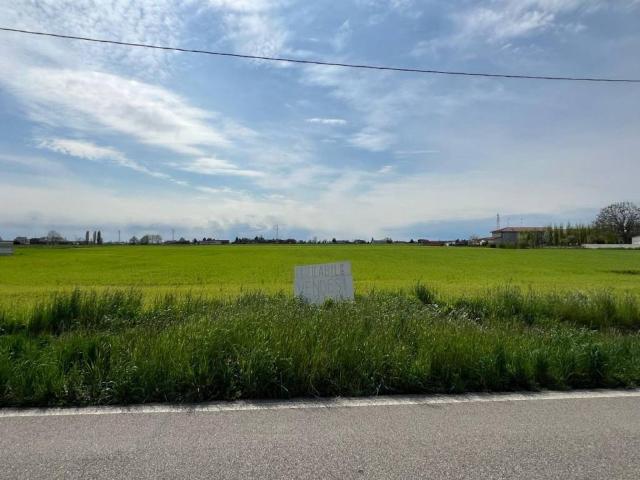 Terreno in vendita a Legnago, Veneto