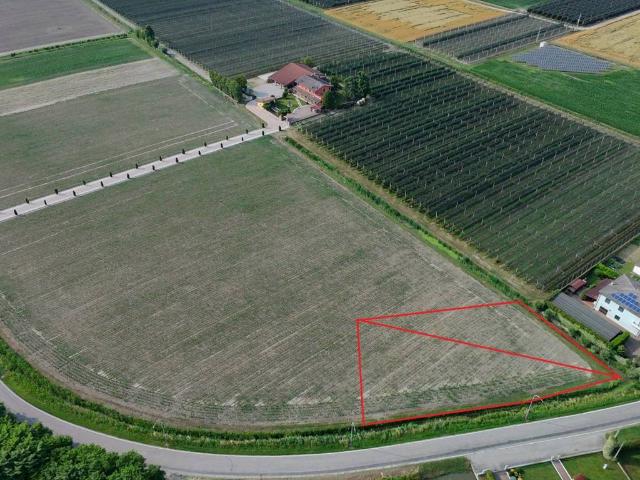 Terreno in vendita a Canove, Legnago