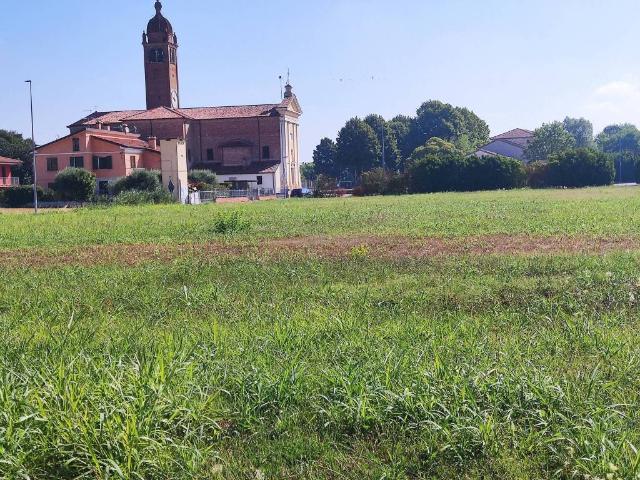 Terreno in vendita a Legnago, Veneto