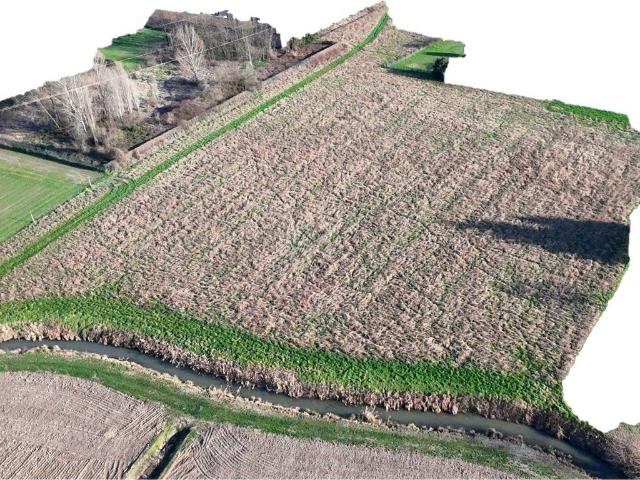 Terreno in vendita a Legnago, Veneto