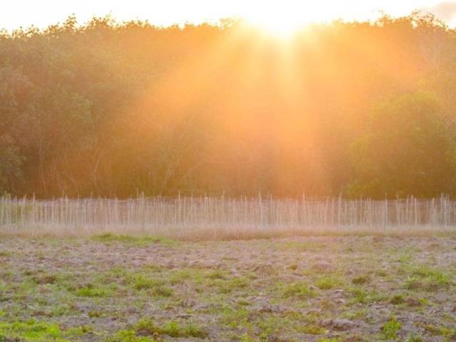 Terreno in vendita a Oltrestazione, Legnano