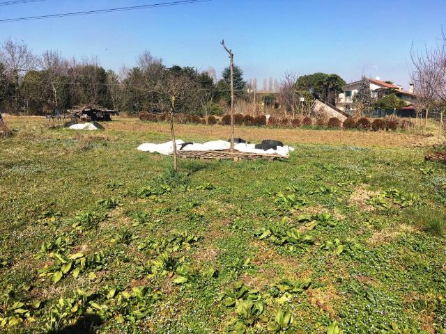 Terreno in vendita a Legnaro, Veneto