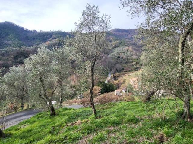 Terreno in vendita a Leivi, Liguria