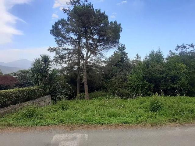 Terreno in vendita a Leivi, Liguria