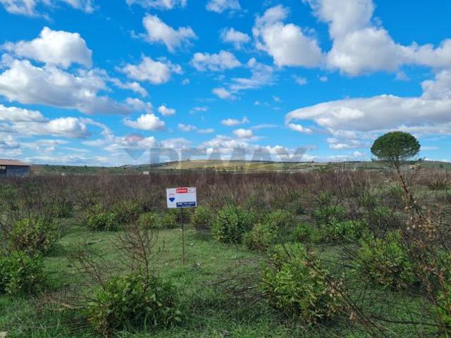 Terreno in vendita a Lentini, Sicilia