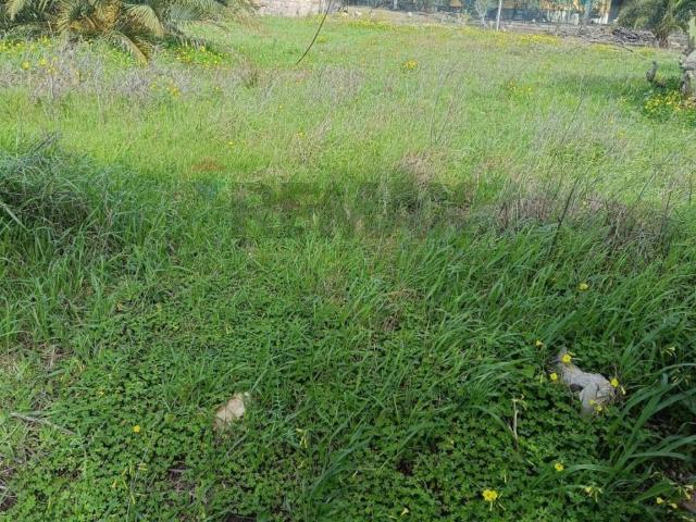 Terreno in vendita a Lentini, Sicilia