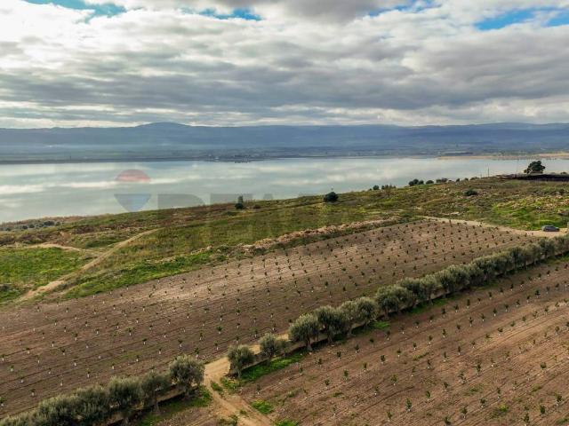Terreno in vendita a Lentini, Sicilia