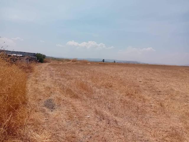 Terreno in vendita a Piana della Catena, Lentini