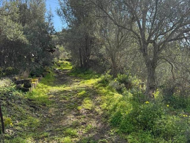 Terreno in vendita a Lentini, Sicilia